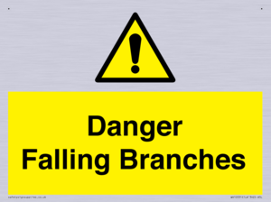Danger Falling Branches